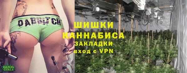 ГАЛЛЮЦИНОГЕННЫЕ ГРИБЫ Аркадак
