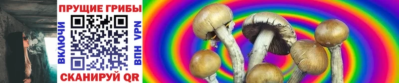 Галлюциногенные грибы Cubensis  Куйбышев 